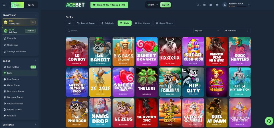 Casinooversikt Acebet